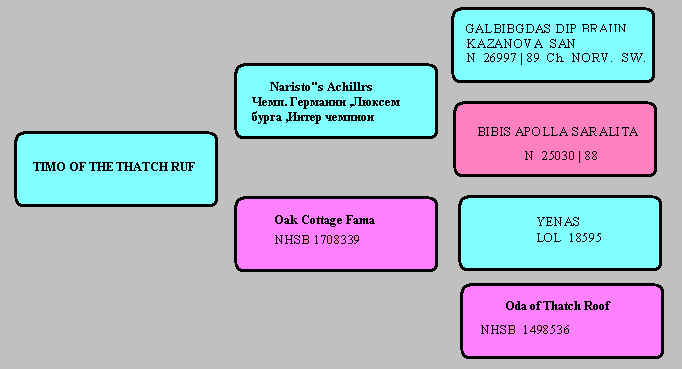 pedigree1.bmp (755766 bytes)